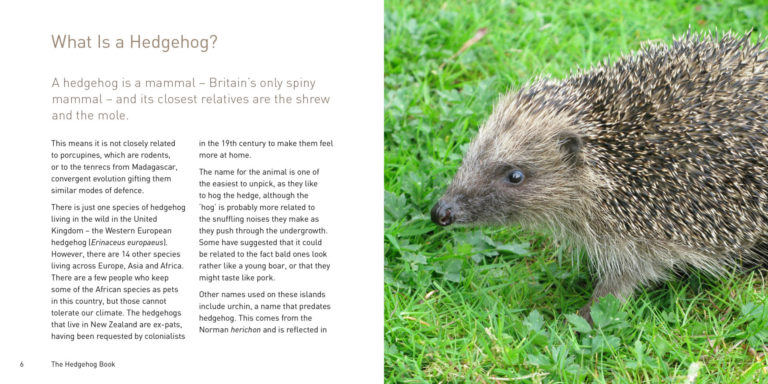 The Hedgehog Book — Great English Outdoors