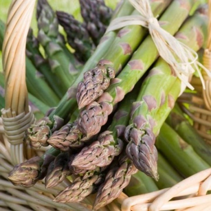 Asparagus