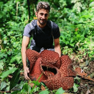 Web Chris Thorogood with Rafflesia arnoldii the largest flower in the world in Sumatra