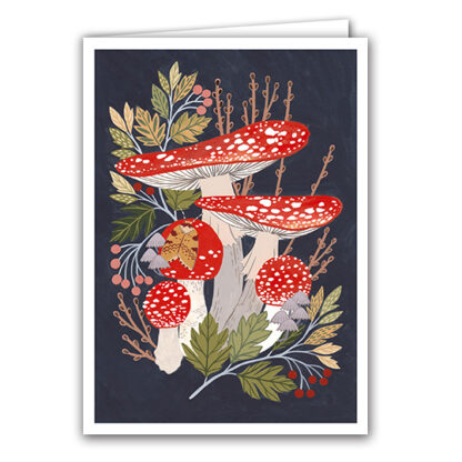 Fly Agaric