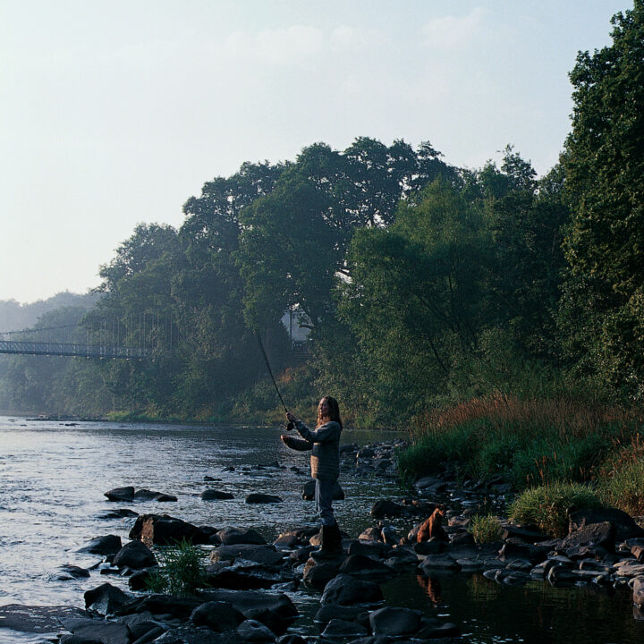 Web Athene fishing on the Wye