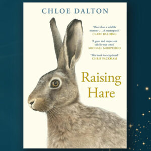 Web Raising Hare by Chloe Dalton